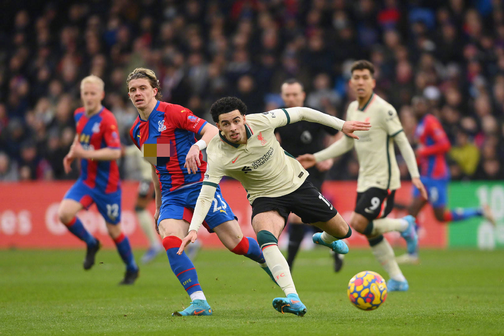 这一复杂的 这一复杂的