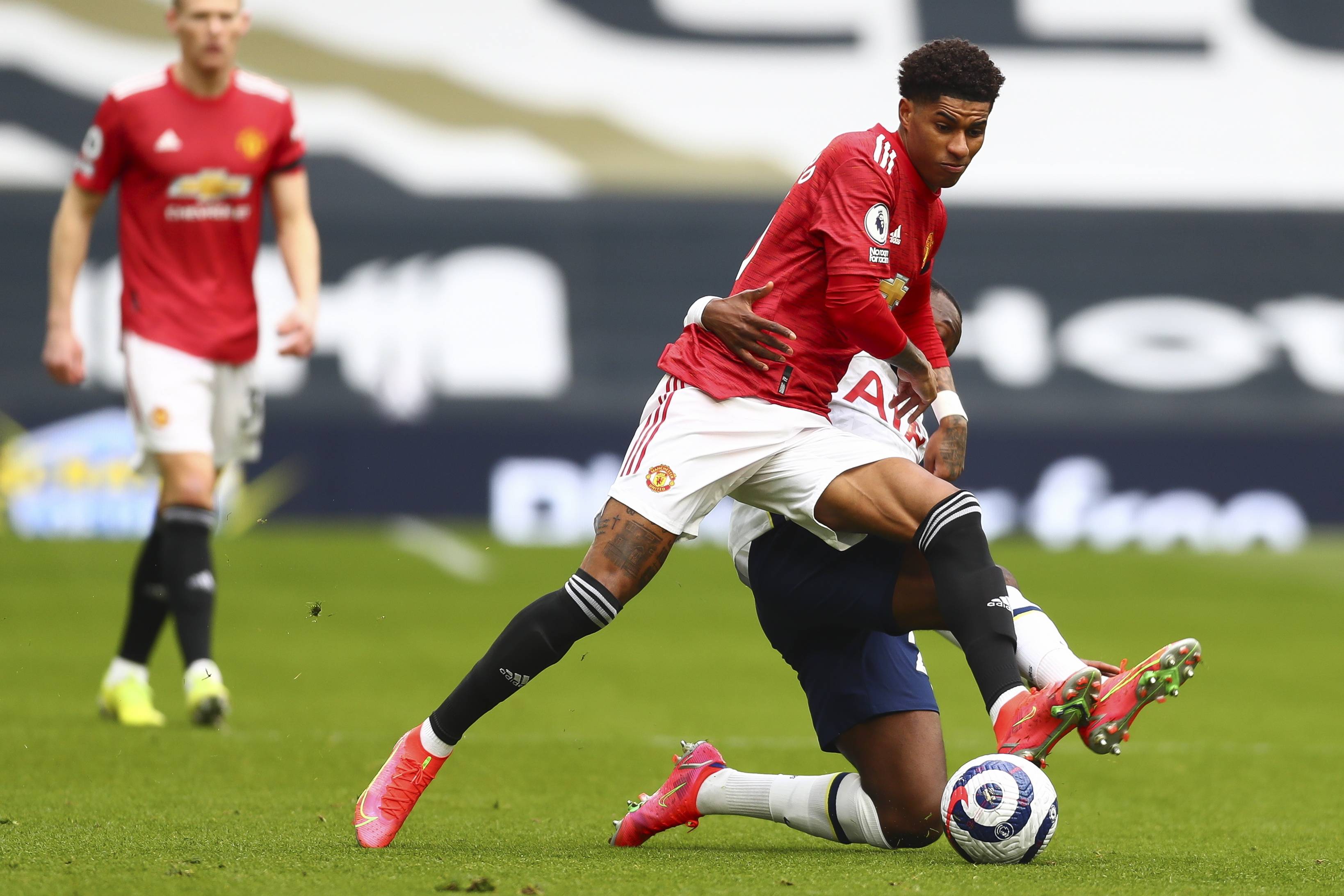 明尼苏达森 明尼苏达森